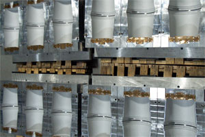 custom blow mold design