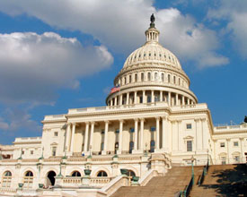 capital